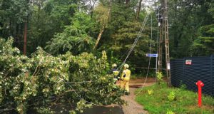 strażacy usuwają skutki wichury