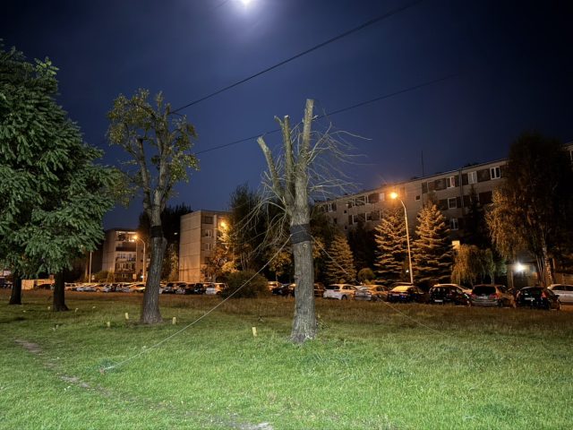 lipy z zamkowej