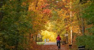 jesień w pabianicach