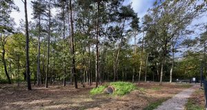 wybieg dla psów w pabianicach