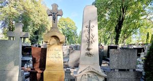 kwesta w pabianicach