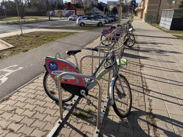 rower publiczny w pabianicach