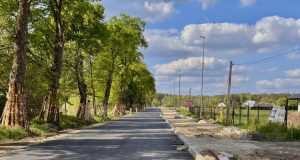 rydzyny