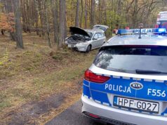 Auto uderzyło w drzewo – do szpitala trafiła kobieta i jej roczne dziecko