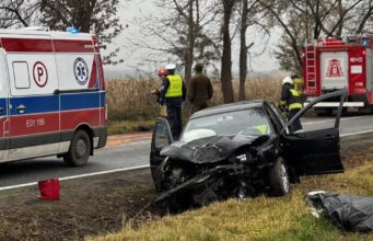 Golf roztrzaskany na drzewie. Kierowca pijany