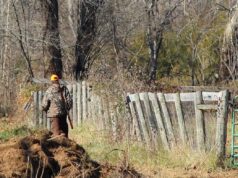 Polowanie w sobotę. Te lasy lepiej omijać