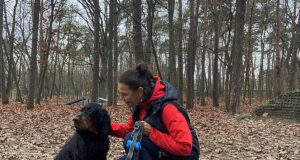 Psia strefa w Parku Wolności po roku. Jak sprawdziła się inwestycja za 150 tys. zł?