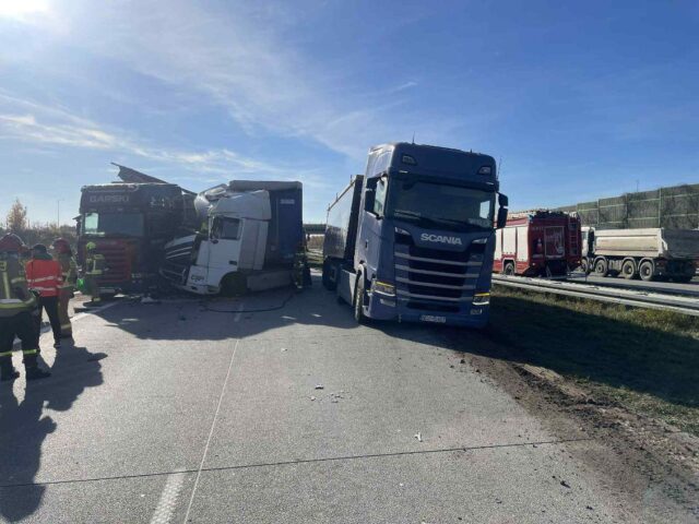 Zdjęcie WhatsApp 2025-11-04 o 12.40.43_2b6fcb9f