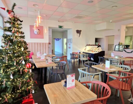 Grudniowe Bawisie zapraszają! Mikołajki, alpaki i wiele więcej